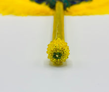 Load image into Gallery viewer, Apetebi Olodi