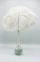 Load image into Gallery viewer, That's a Coconut Snowball, Yeah!