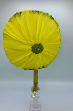 Load image into Gallery viewer, Abebe Oshun Olodi