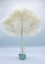 Load image into Gallery viewer, That&#39;s a Coconut Snowball, Yeah!
